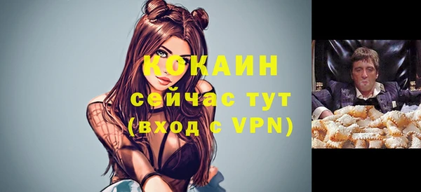 прущая мука Богородицк