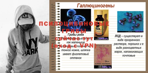 прущая мука Богородицк