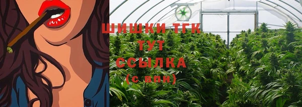 первитин Богданович