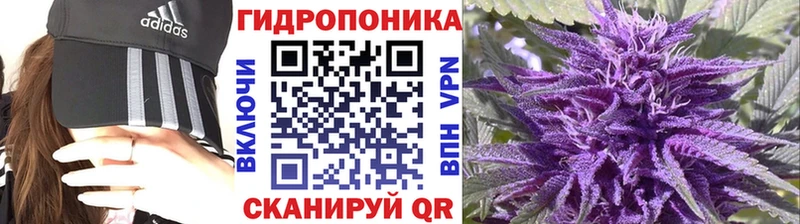 Бошки марихуана White Widow  блэк спрут ссылка  Кущёвская 